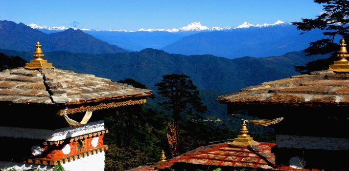 India e Bhutan - Le piantagioni di t&egrave; del Darjeeling e la spiritualit&agrave; del Bhutan 4
